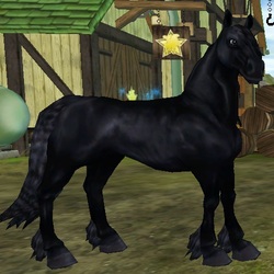 Horse Breeds - Star Stable Game Help